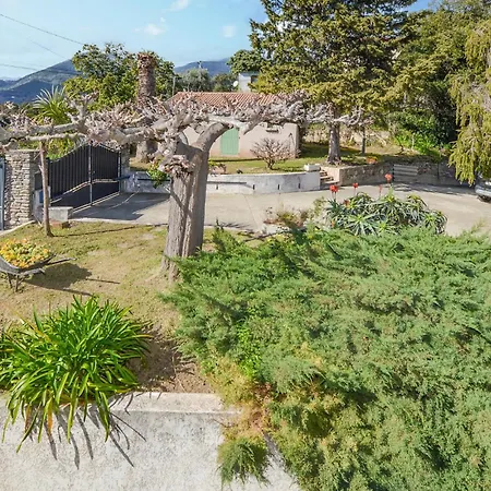 Gorgeous In With Wifi Cervione