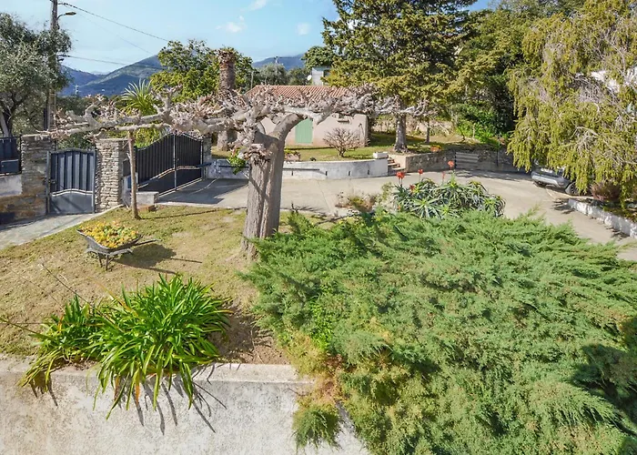 Gorgeous In With Wifi Cervione